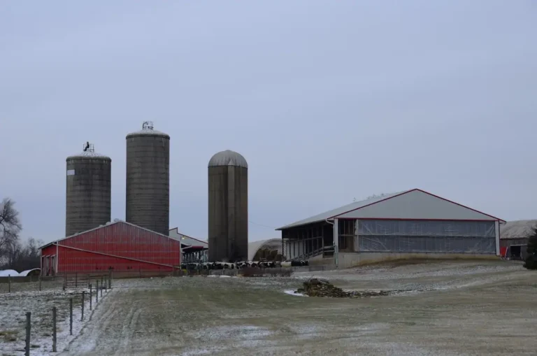 State Farm kansas city chiefs