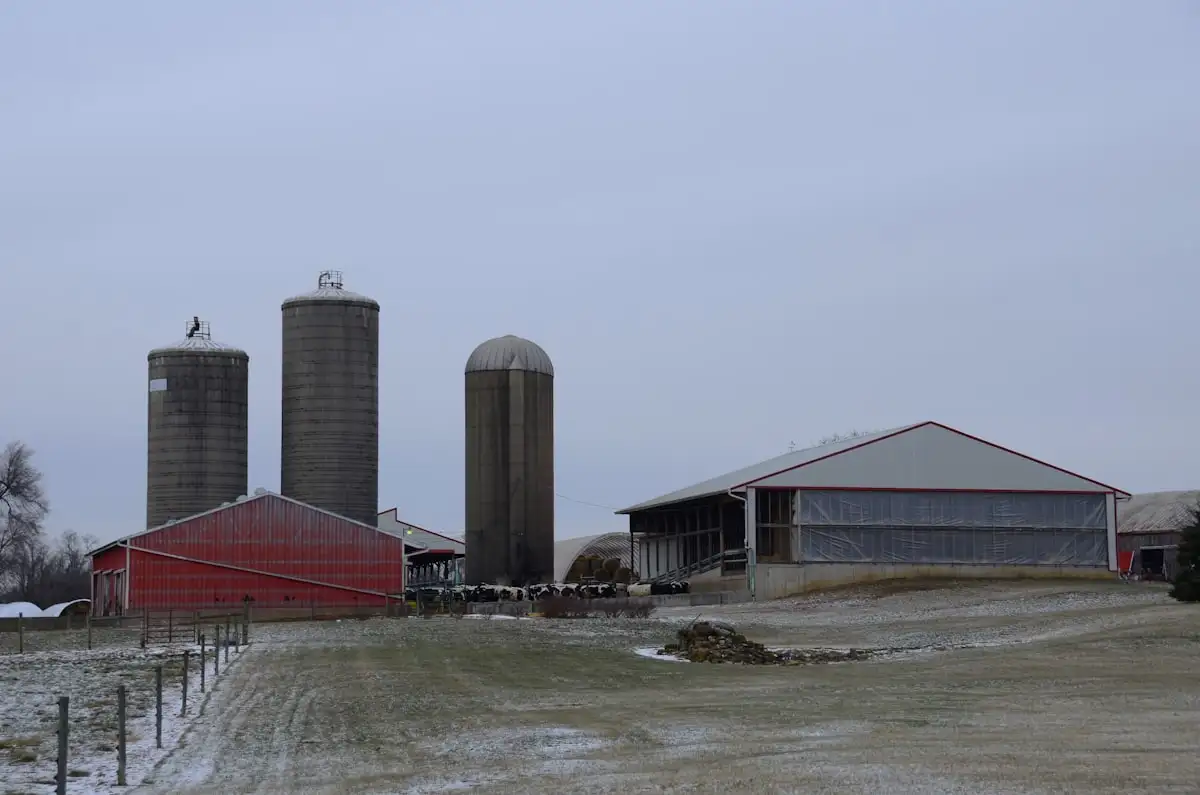 State Farm kansas city chiefs