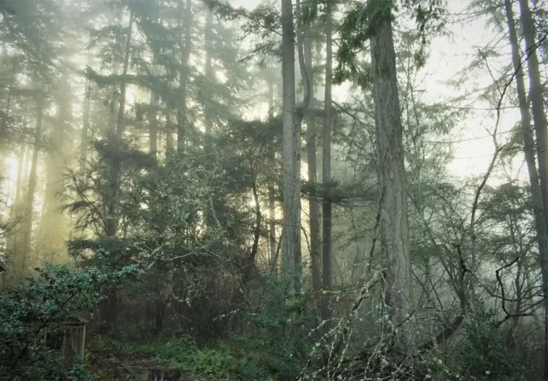 Progressive keefe, bruyette woods