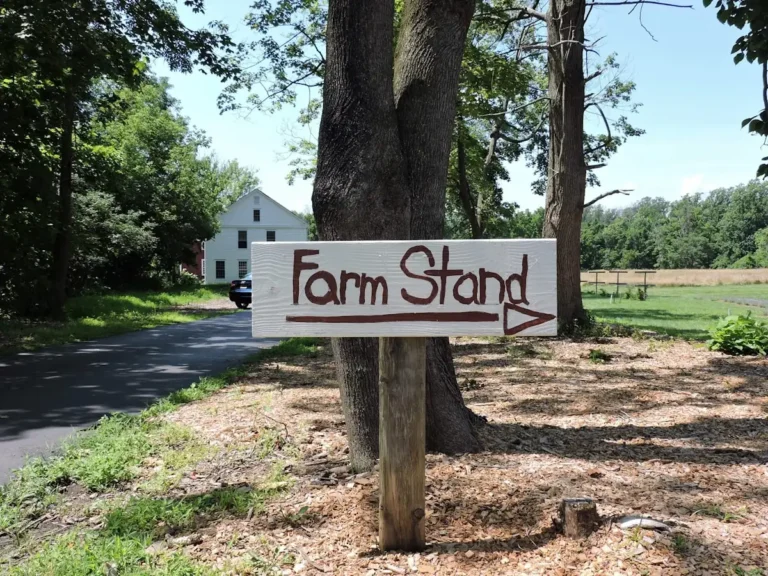 State Farm state farm lawsuit