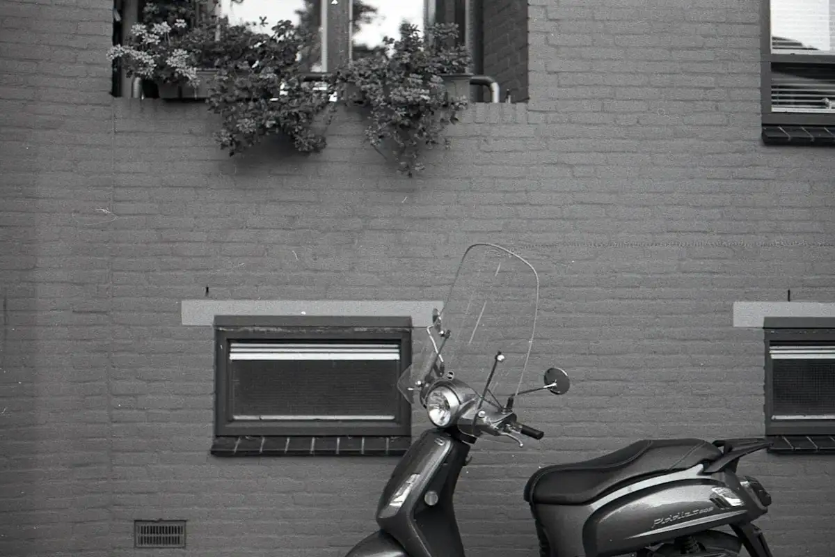 Motor Insurance there's hipster town,
